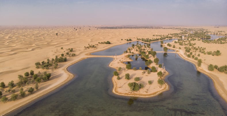 Al Qudra Lakes in Dubai