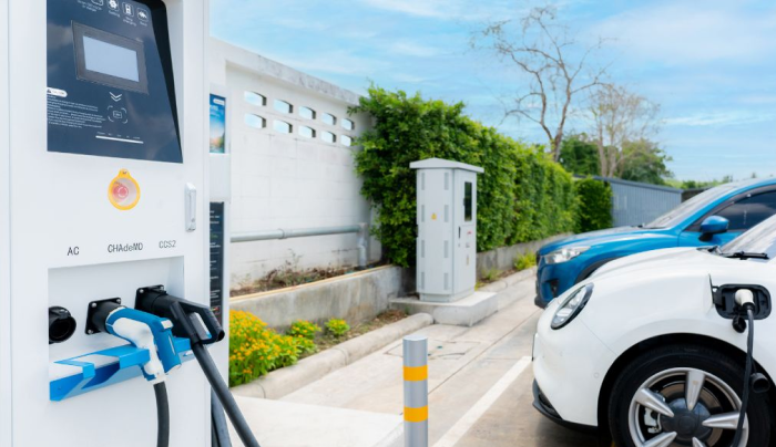 UAE National EV policy